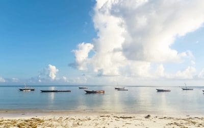 The Best Diving Season in Zanzibar