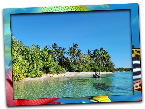 Pemba Island dive center beach 