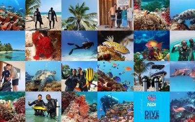 Diving Pemba Island, Tanzania