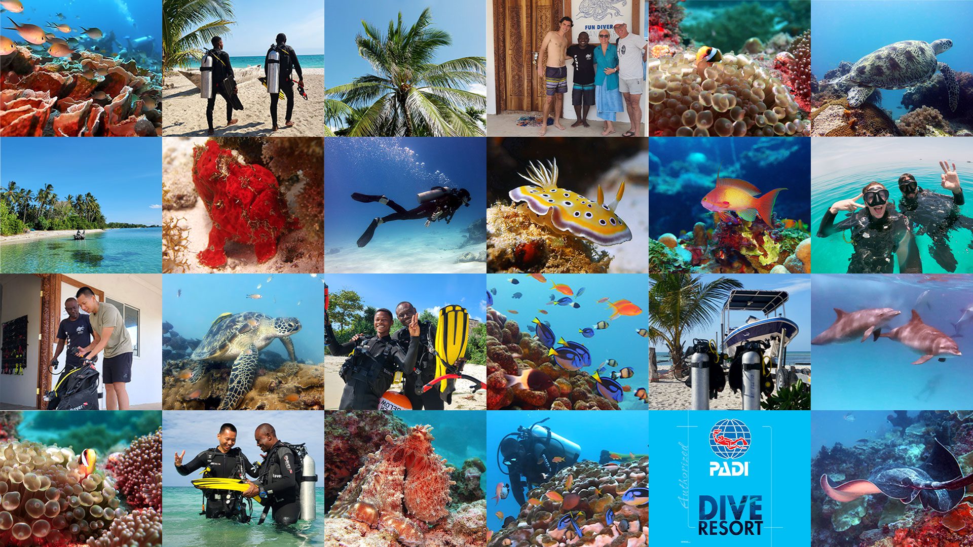 Diving Pemba Island, Tanzania Scuba Diving in Pemba Island, Tanzania, local PADI Dive Resort