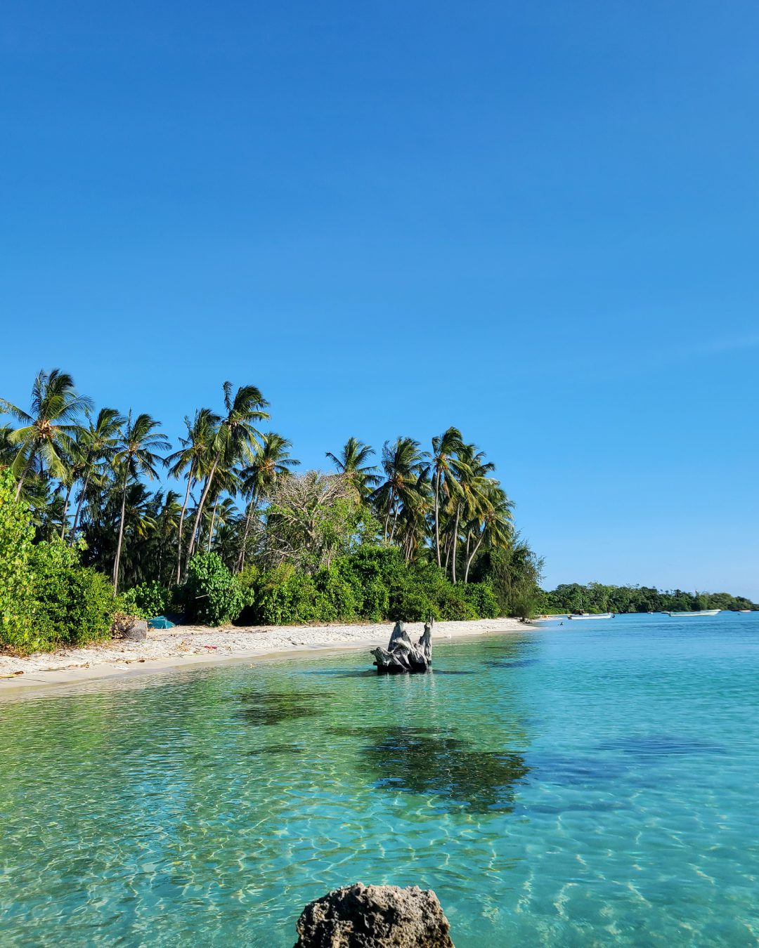 Pemba Island New Dive Center Fun Divers Zanzibar (PADI) Pemba Island New Dive Center Fun Divers Zanzibar (PADI)