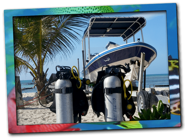 November Diving in Nungwi