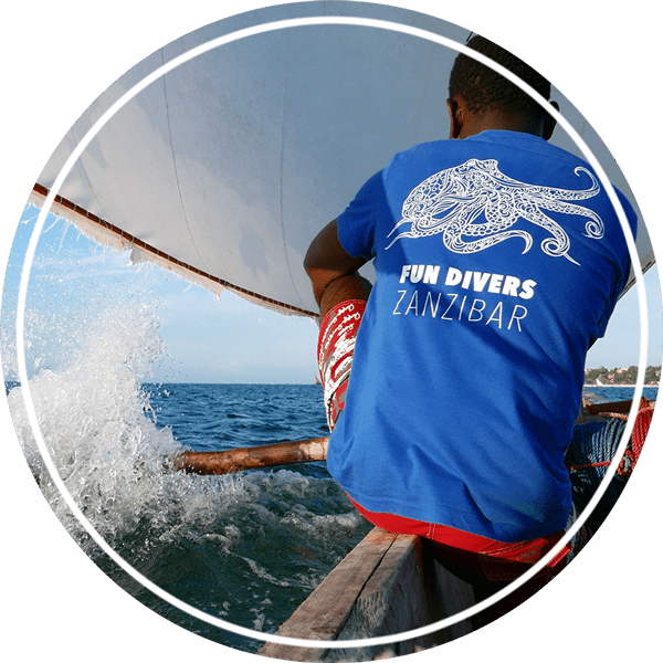 Free T-Shirt Prices for diving in Zanzibar, best value, booking rates and special offers at Fun Divers Zanzibar