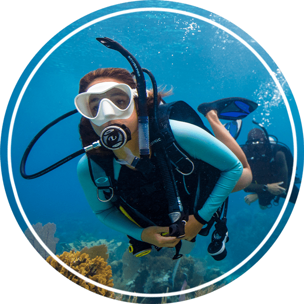Learn To Dive