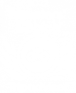 Traveler’s Choice Fun Divers Zanzibar Reviews